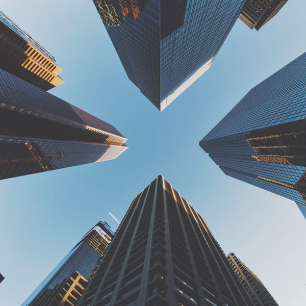 Company Spotlights Company Spotlights