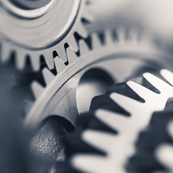 Industry Spotlights Industry Spotlights