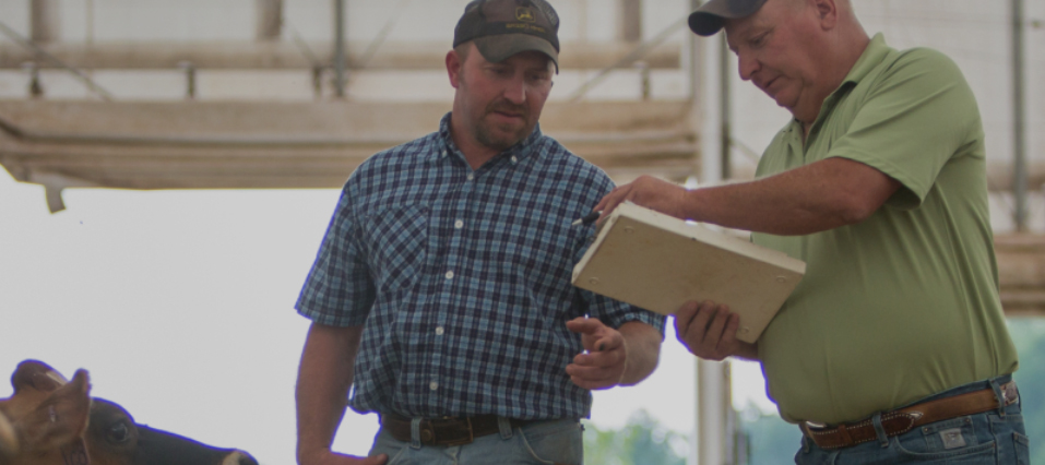 MWC is a unique joint venture between Glanbia Nutritionals, Dairy Farmers of America, Inc. (DFA), and Select Milk Producers Inc., The venture is 50 percent owned by Glanbia, with the balance primarily owned by DFA and Select Milk Producers. MWC is a unique joint venture between Glanbia Nutritionals, Dairy Farmers of America, Inc. (DFA), and Select Milk Producers Inc., The venture is 50 percent owned by Glanbia, with the balance primarily owned by DFA and Select Milk Producers.