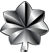 Lieutenant Colonel Lieutenant Colonel